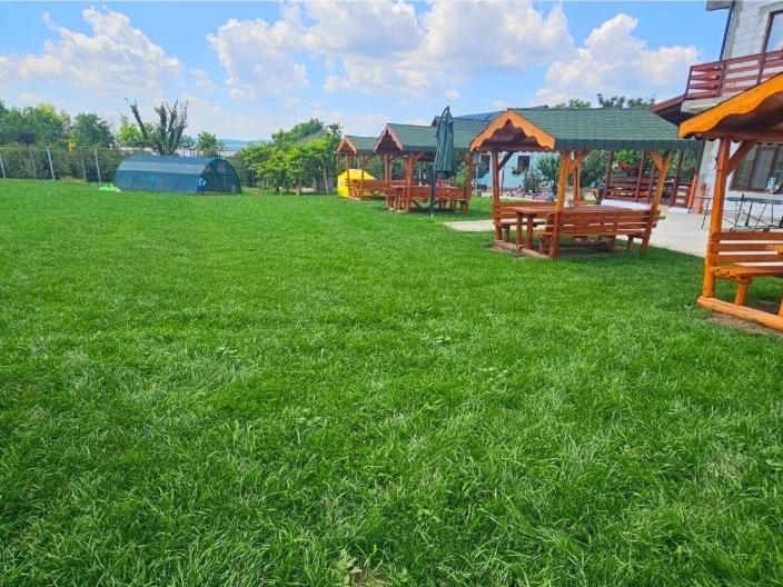 Colt De Rai Bed & Breakfast Hirtoape Bagian luar foto